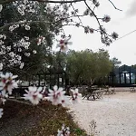 Relais Trulli Le Icone B&B