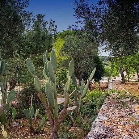 فندق مبيت وإفطار Relais Trulli Le Icone