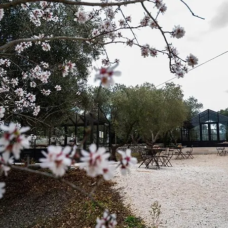 Relais Trulli Le Icone Panzió