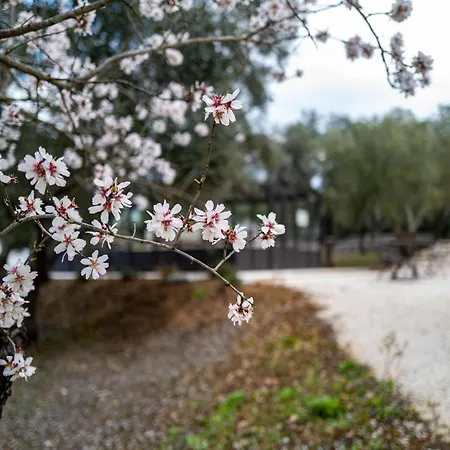 Relais Trulli Le Icone Bed & Breakfast