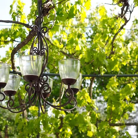 Relais Trulli Le Icone Panzió 4*