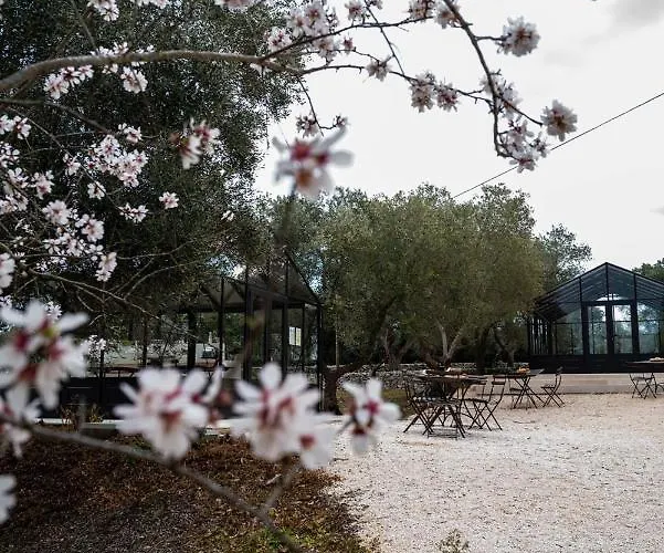 Relais Trulli Le Icone Bed & Breakfast